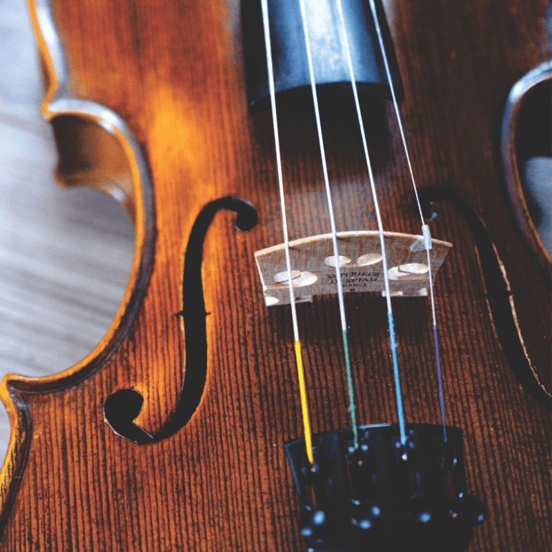 Indywidualna lekcja gry na skrzypcach