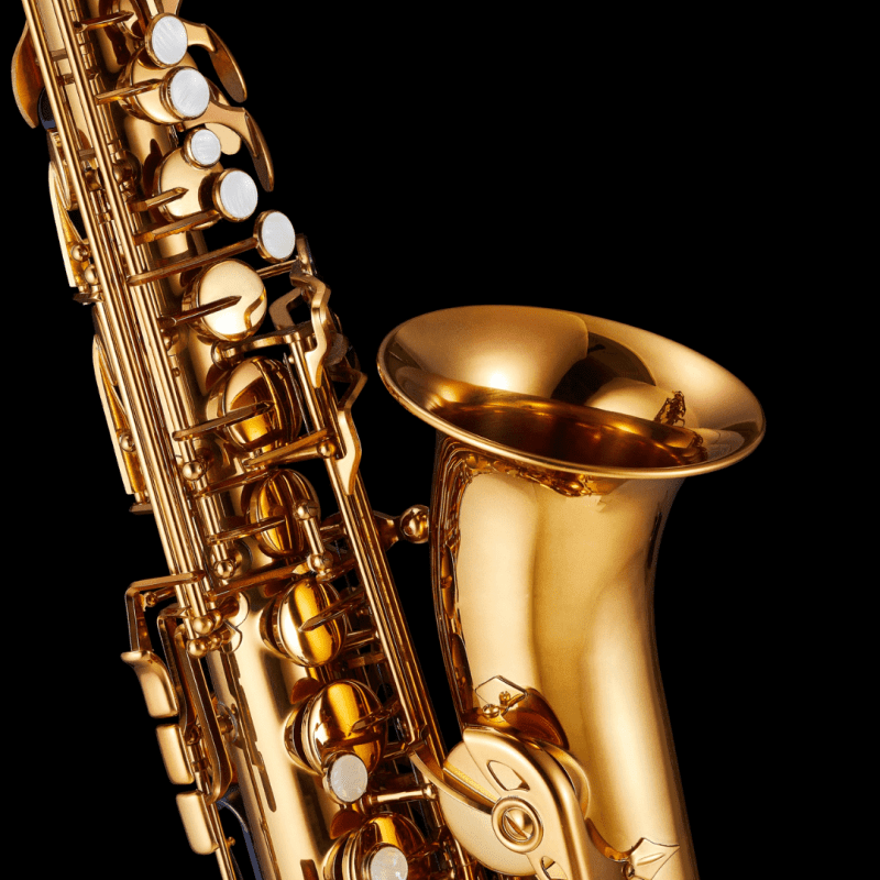 Indywidualna lekcja gry na saksofonie