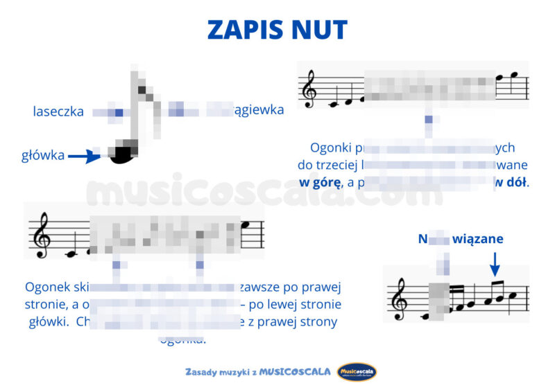 Pomoce dydaktyczne: Budowa nuty i zapis nut | karty edukacyjne dla szkół muzycznych